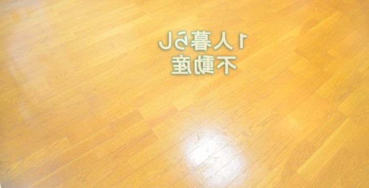 東京都大田区大森西3(マンション)の賃貸物件の居間