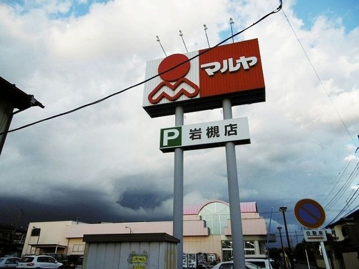 埼玉県さいたま市岩槻区城南1(アパート)の賃貸物件の周辺