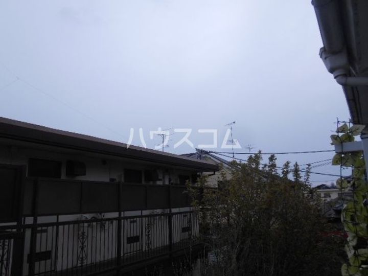 ハウス白ユリのその他画像