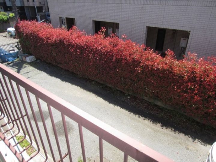東京都東久留米市浅間町3(アパート)の賃貸物件の内装