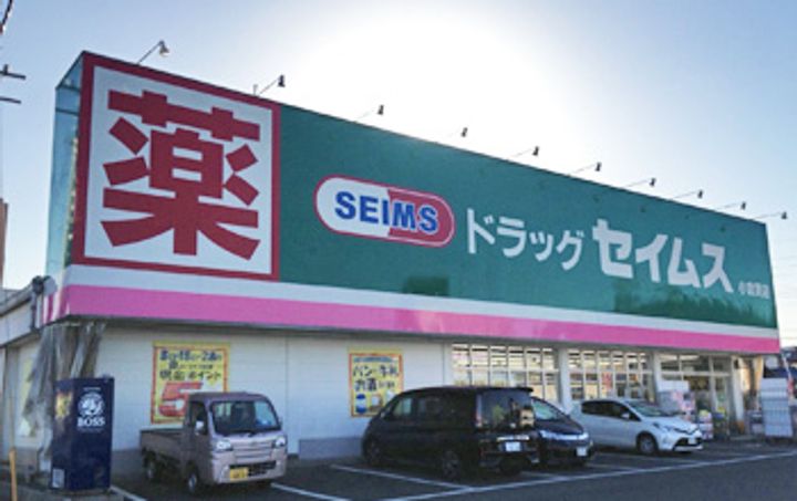 ホワイトライトの周辺