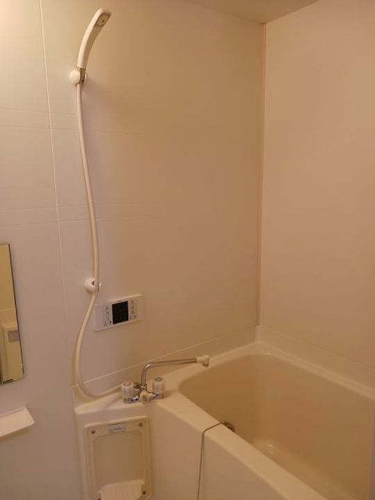 栃木県小山市大字横倉新田(アパート)の賃貸物件の内装