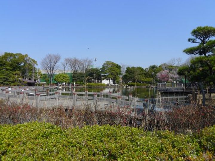 東京都荒川区町屋1(マンション)の賃貸物件の周辺