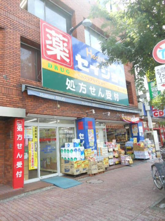 ガーラ・ヴィスタ田園調布の周辺