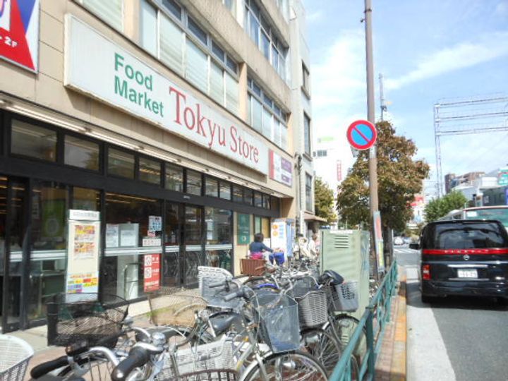 ガーラ・ヴィスタ田園調布の周辺