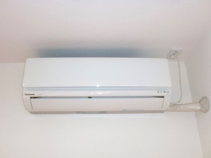 グリーンプラントの内装