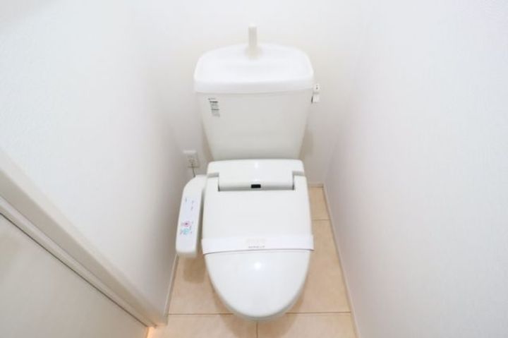 栃木県栃木市岩舟町静和(アパート)の賃貸物件の内装