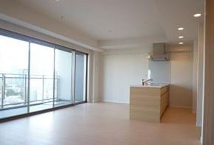 東京都品川区東五反田1(マンション)の賃貸物件の居間