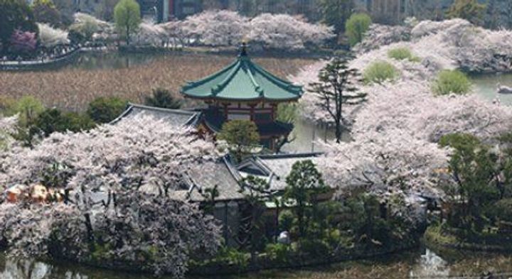 クレヴィア日暮里 THE PLACEの周辺