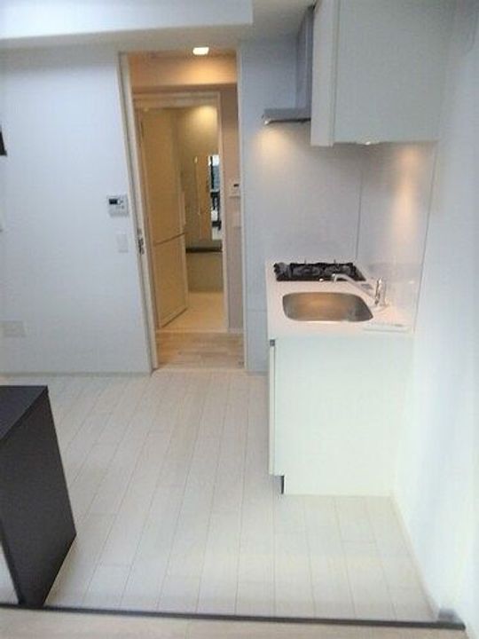 ライオンズフォーシア中野の内装