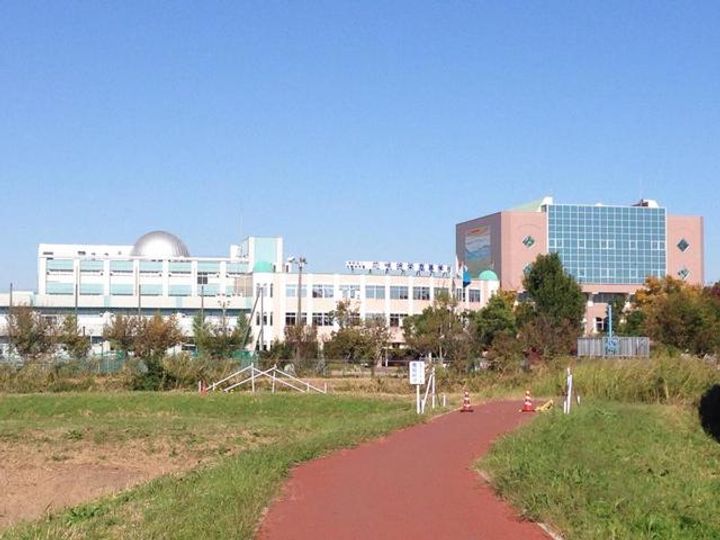 ホワイトバーチの周辺