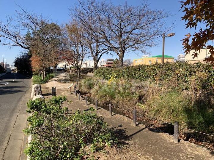 ダイナ大島の周辺