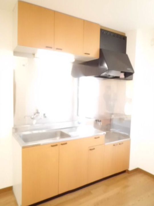 エルハイムミカノのキッチン