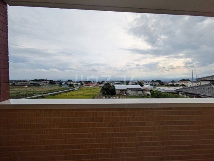 ANIMAL KINGDOMのその他画像