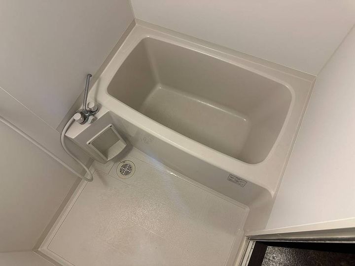 アルテマイスターカサミラ(1LDK・ロフト2室)の風呂