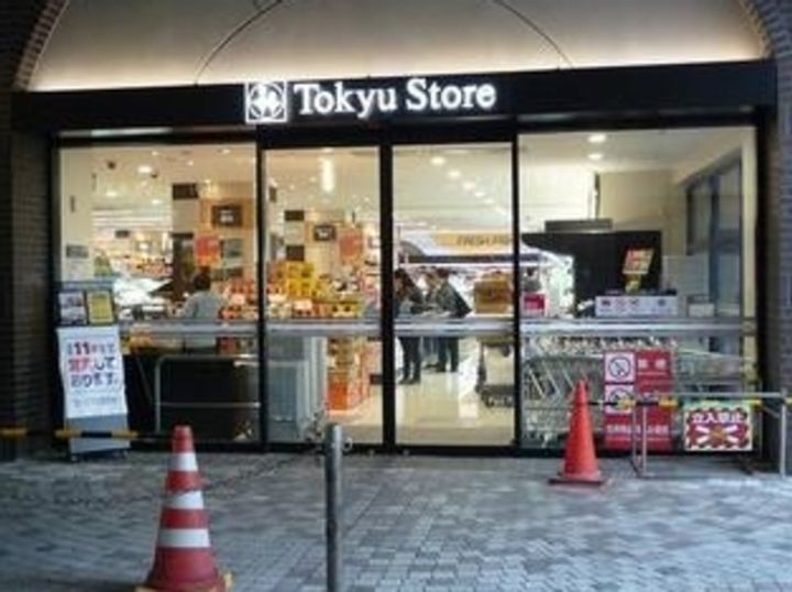 東京都大田区東雪谷3(アパート)の賃貸物件の周辺