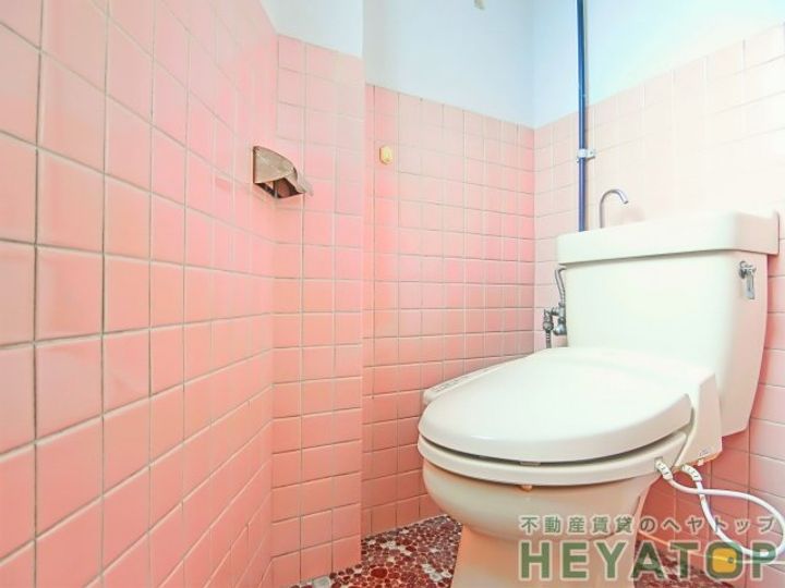 愛知県名古屋市南区寺崎町(アパート)の賃貸物件の内装