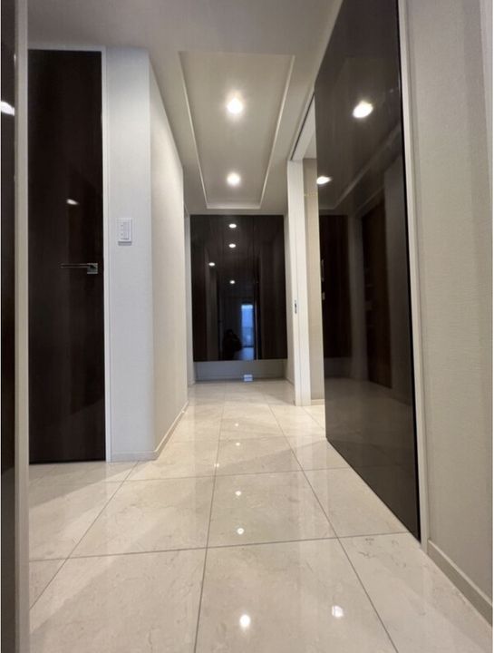 東京都港区虎ノ門3(マンション)の賃貸物件の玄関