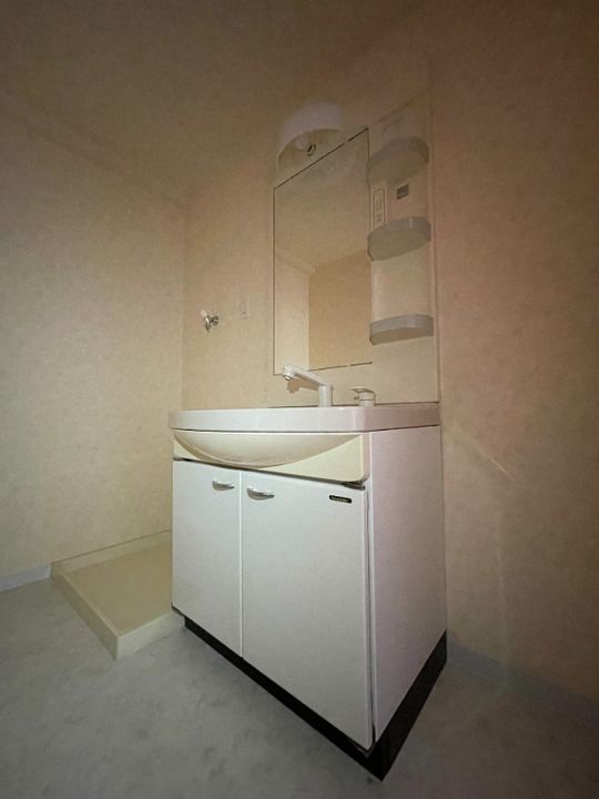 岡山県倉敷市福島(マンション)の賃貸物件の内装