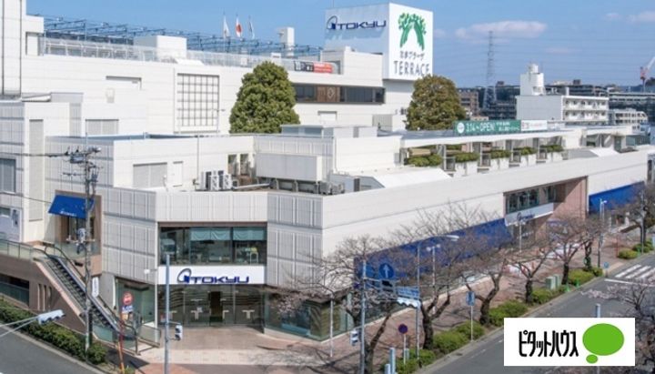 パストラルハイツ宮前平IIの周辺