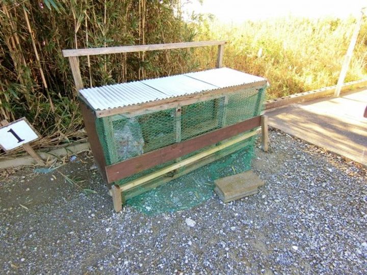 千葉県いすみ市岬町中原(アパート)の賃貸物件の地図