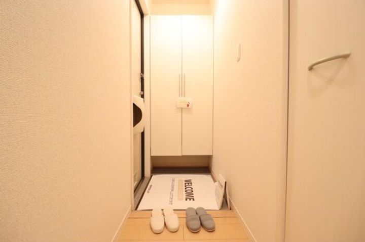千葉県野田市七光台(アパート)の賃貸物件の玄関