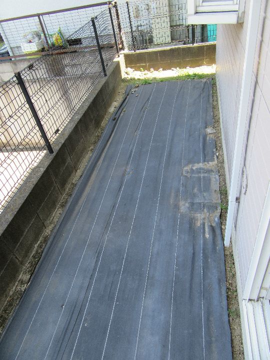 神奈川県横浜市磯子区森6(アパート)の賃貸物件の内装