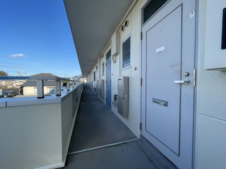 プラタナスの地図