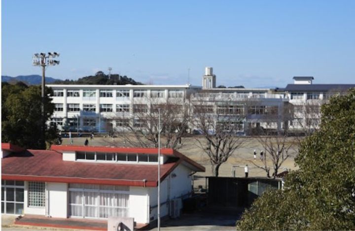 プラタナスの周辺