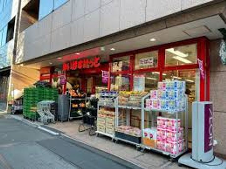 東京都中央区築地2(マンション)の賃貸物件の周辺