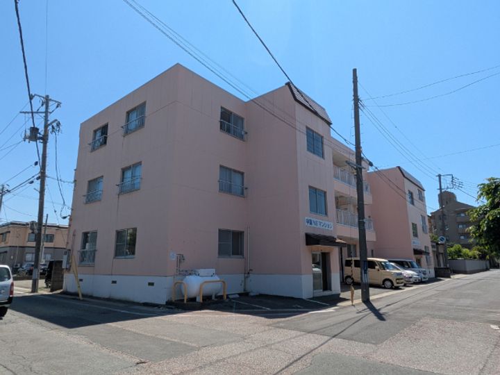 中園NSマンションの外観