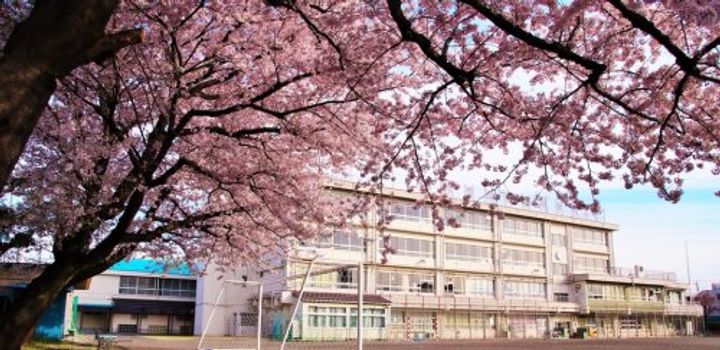 パステロの周辺