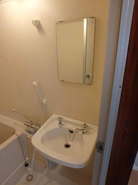 千葉県市川市日之出(マンション)の賃貸物件の内装