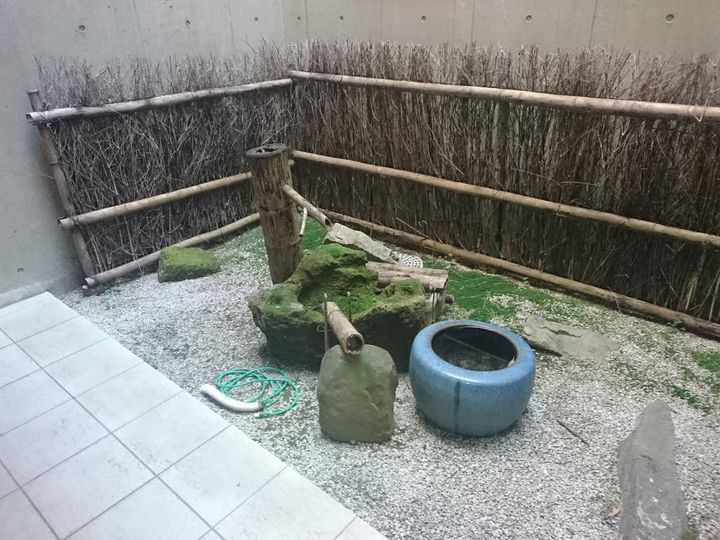 鹿児島県鹿児島市玉里町(マンション)の賃貸物件の地図
