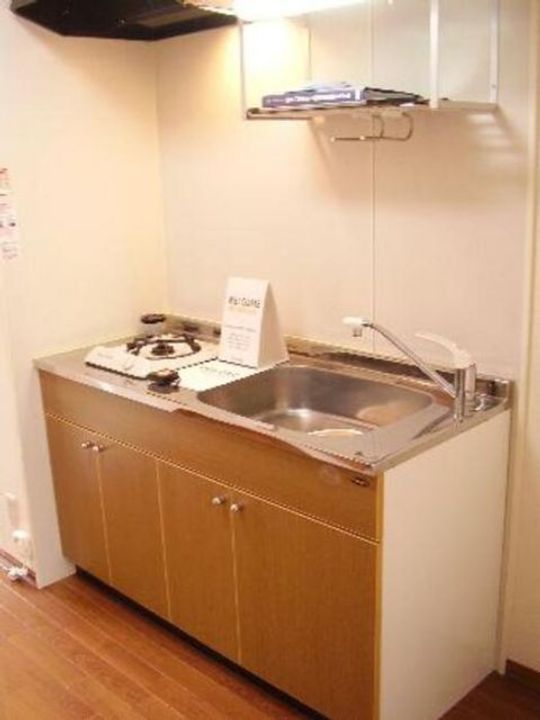 新潟県新潟市秋葉区程島(アパート)の賃貸物件のキッチン