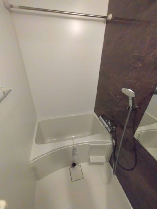 S-RESIDENCE堺浜寺axialの風呂