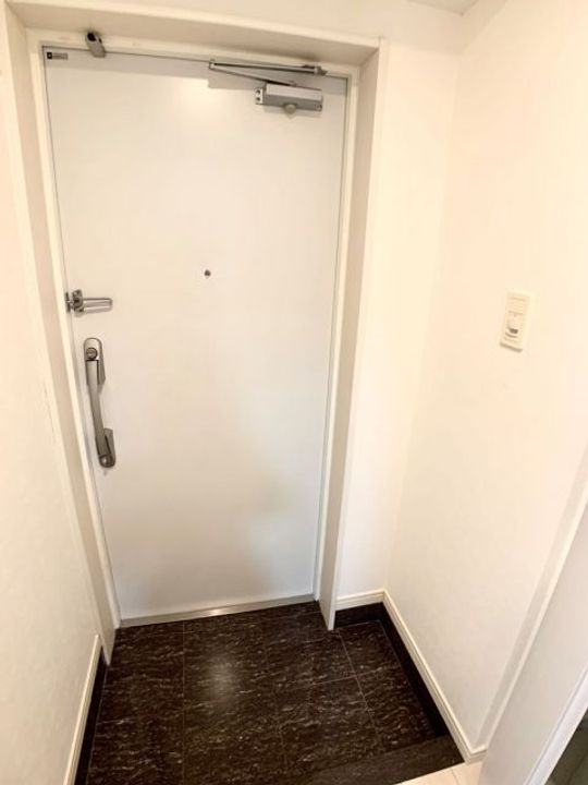 埼玉県川口市並木4(マンション)の賃貸物件の玄関