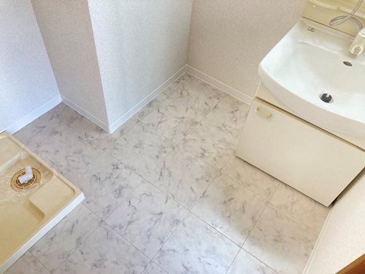 岡山県岡山市中区門田屋敷2の賃貸マンションの内装