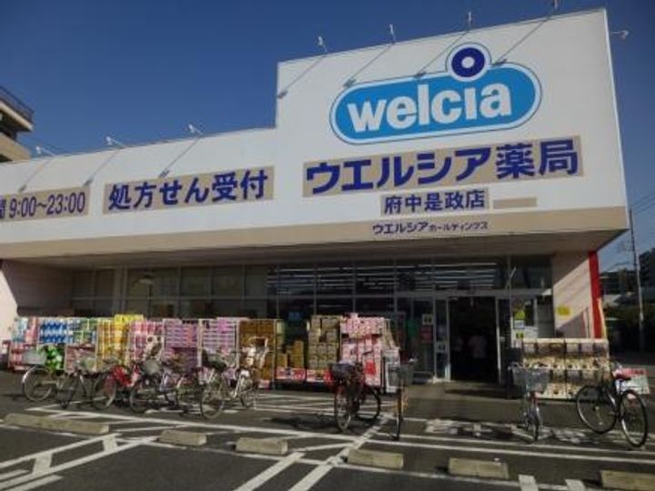 東京都府中市是政1(アパート)の賃貸物件の周辺