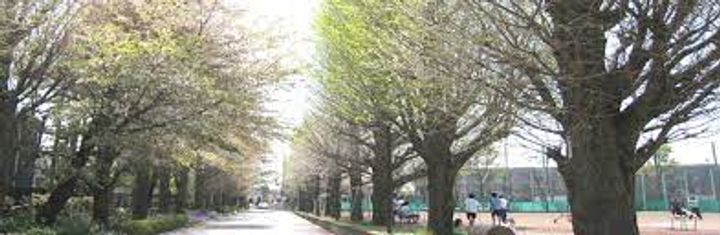 ハーミットクラブハウス高井戸の周辺