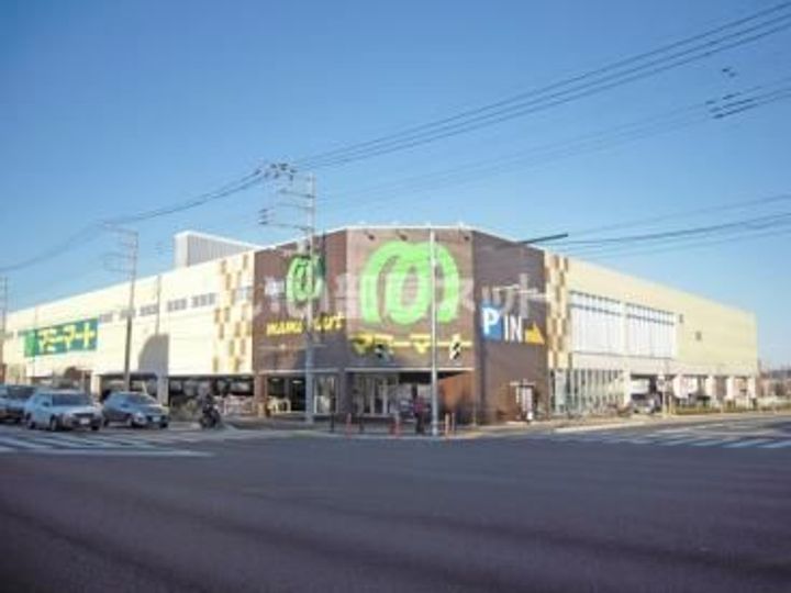 埼玉県さいたま市見沼区大字南中野(一戸建)の賃貸物件の周辺