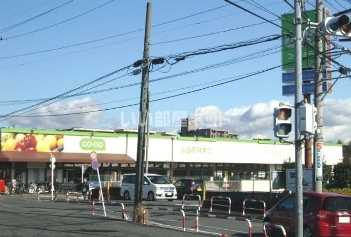 埼玉県さいたま市見沼区大字南中野(一戸建)の賃貸物件の周辺