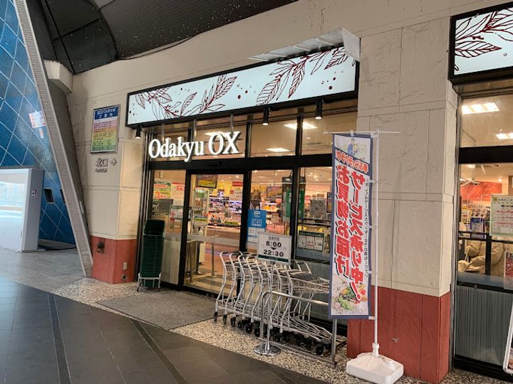 神奈川県秦野市大秦町(マンション)の賃貸物件の周辺