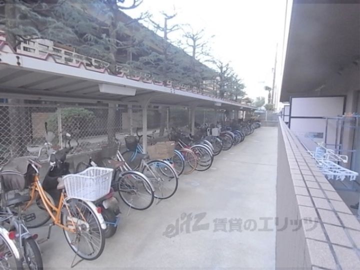 サウスビンの地図