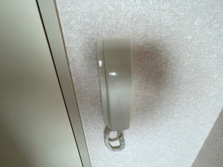 千葉県習志野市津田沼3(アパート)の賃貸物件の内装