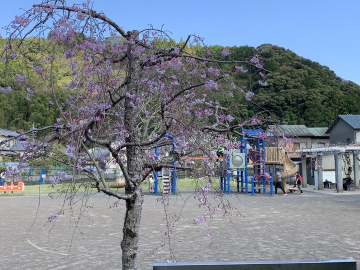 Happy Familyの周辺
