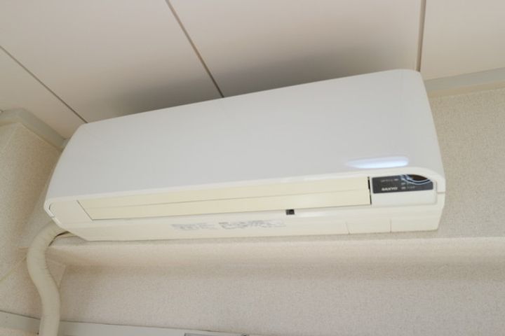 セザール麻美の内装