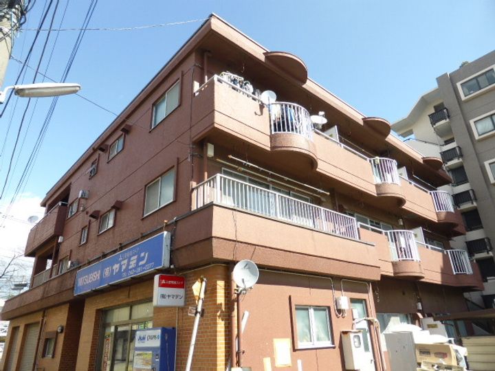 セザール麻美の外観