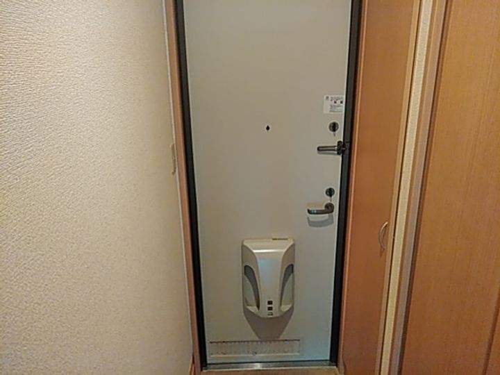 D-ROOM フラワーフレンド102の玄関
