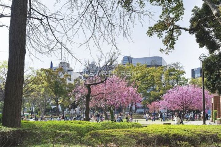 パークフラッツ横濱公園の周辺